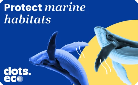 Dots.eco - Protect Marine Habitats