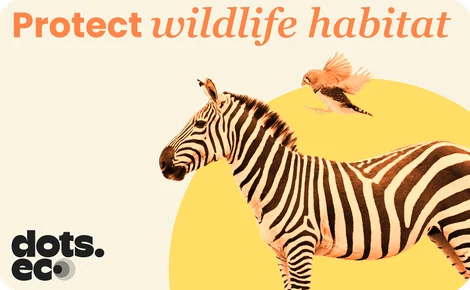 Dots.eco - Protect Wildlife Habitat