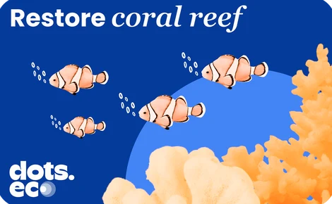 Dots.eco - Restore a Coral Reef Fragment