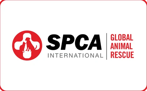 SPCA International